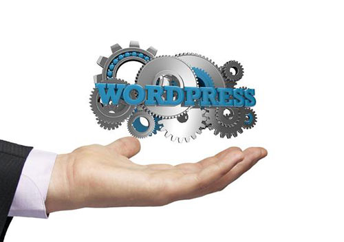 为什么说WordPress是最好的CMS 为什么说WordPress是最好的CMS